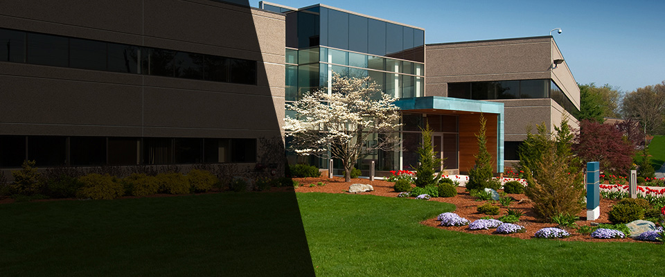 Tivoli Landscapers