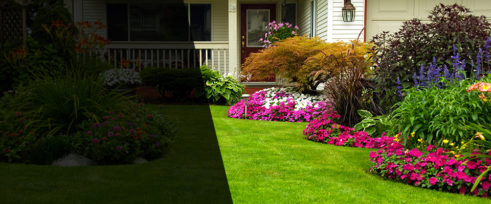 Tivoli Landscapers