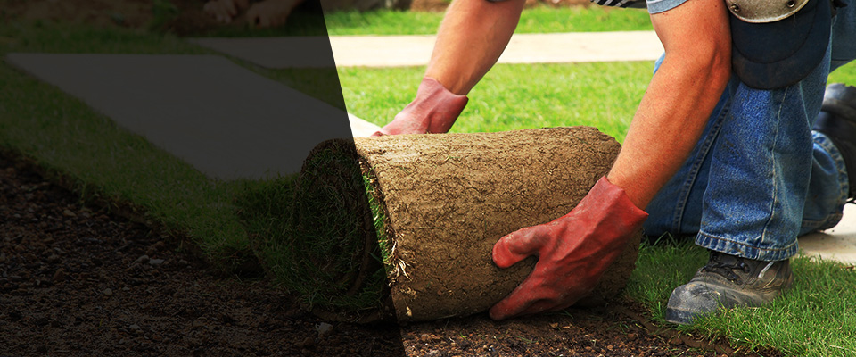 Tivoli Landscapers